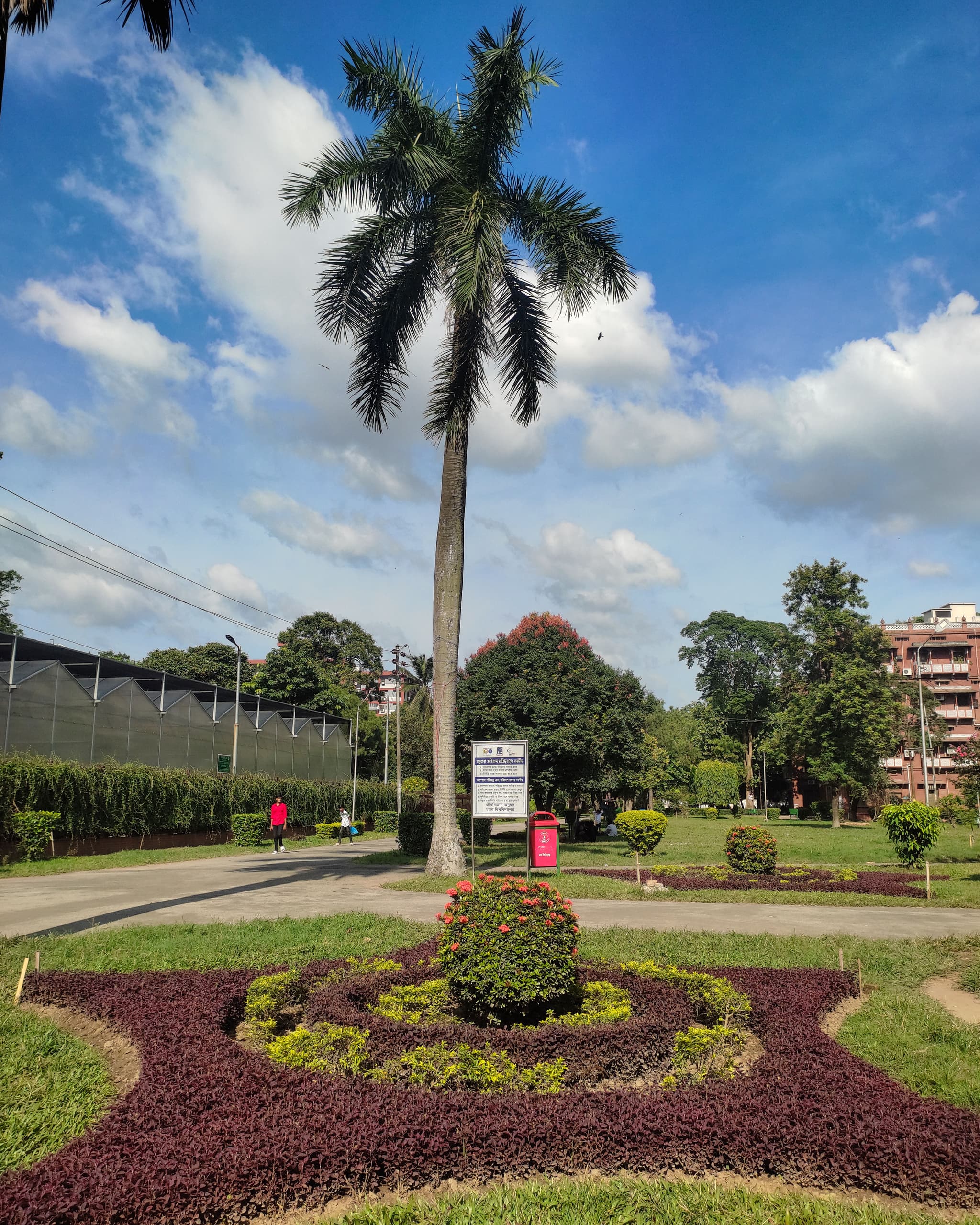 International Medical Faculty campus