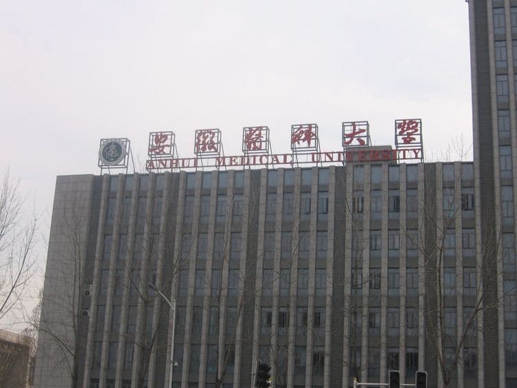 Anhui Medical University photo 3