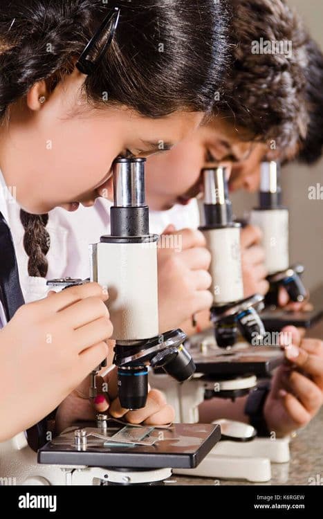 Orenburg State Medical University - Research Laboratory