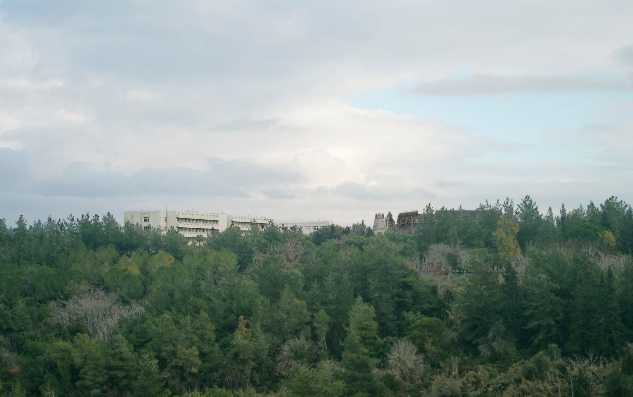 Cukurova University Faculty of Medicine - Medical University Cukurova University Faculty of Medicine - Medical University in Turkey