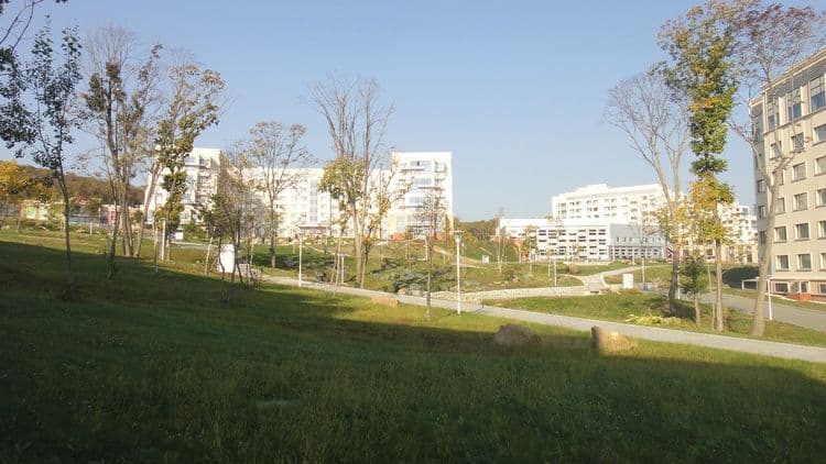 Far Eastern Federal University photo 2
