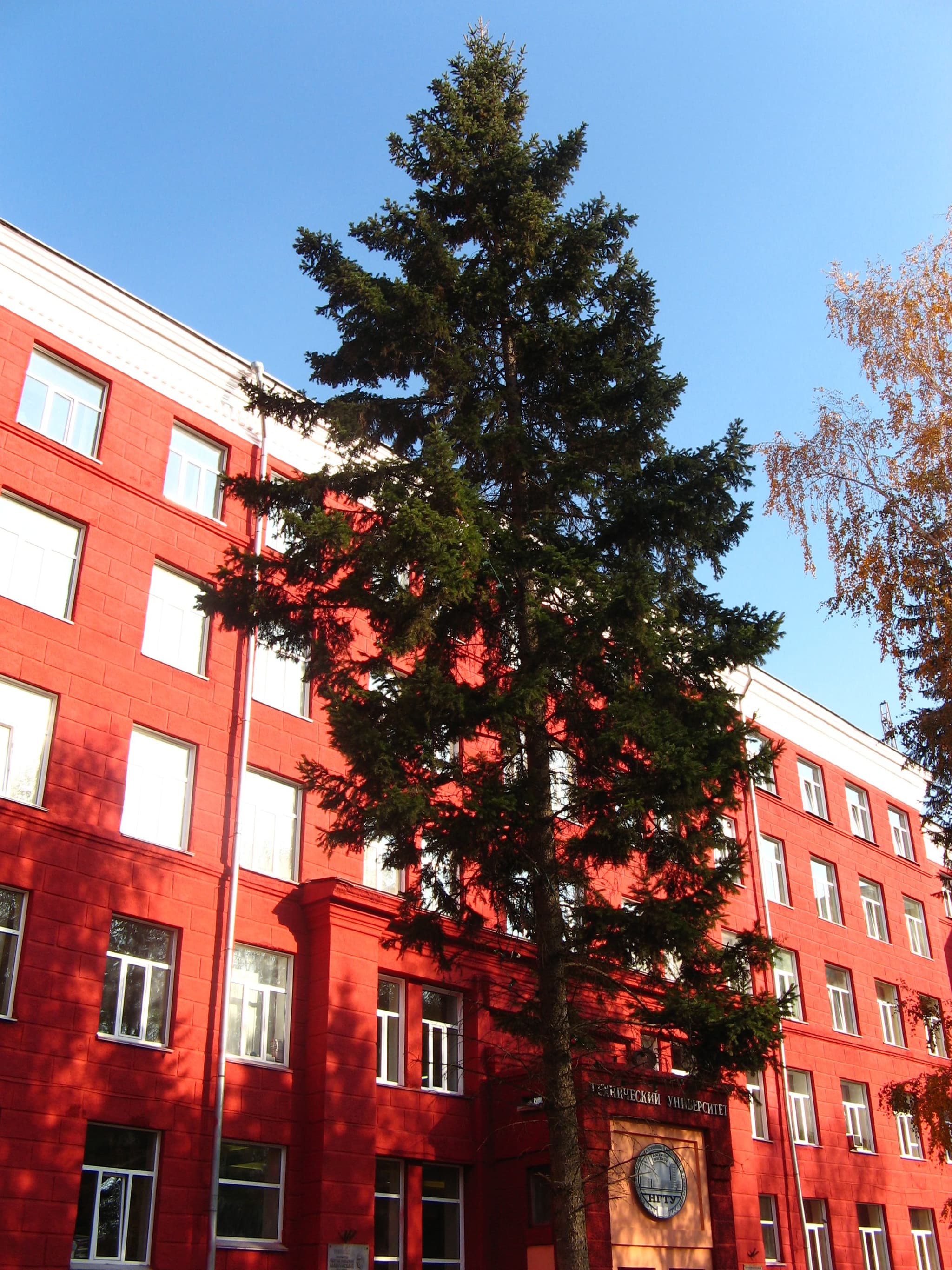 Novosibirsk National Research State University campus - MBBS in Russia for Indian students