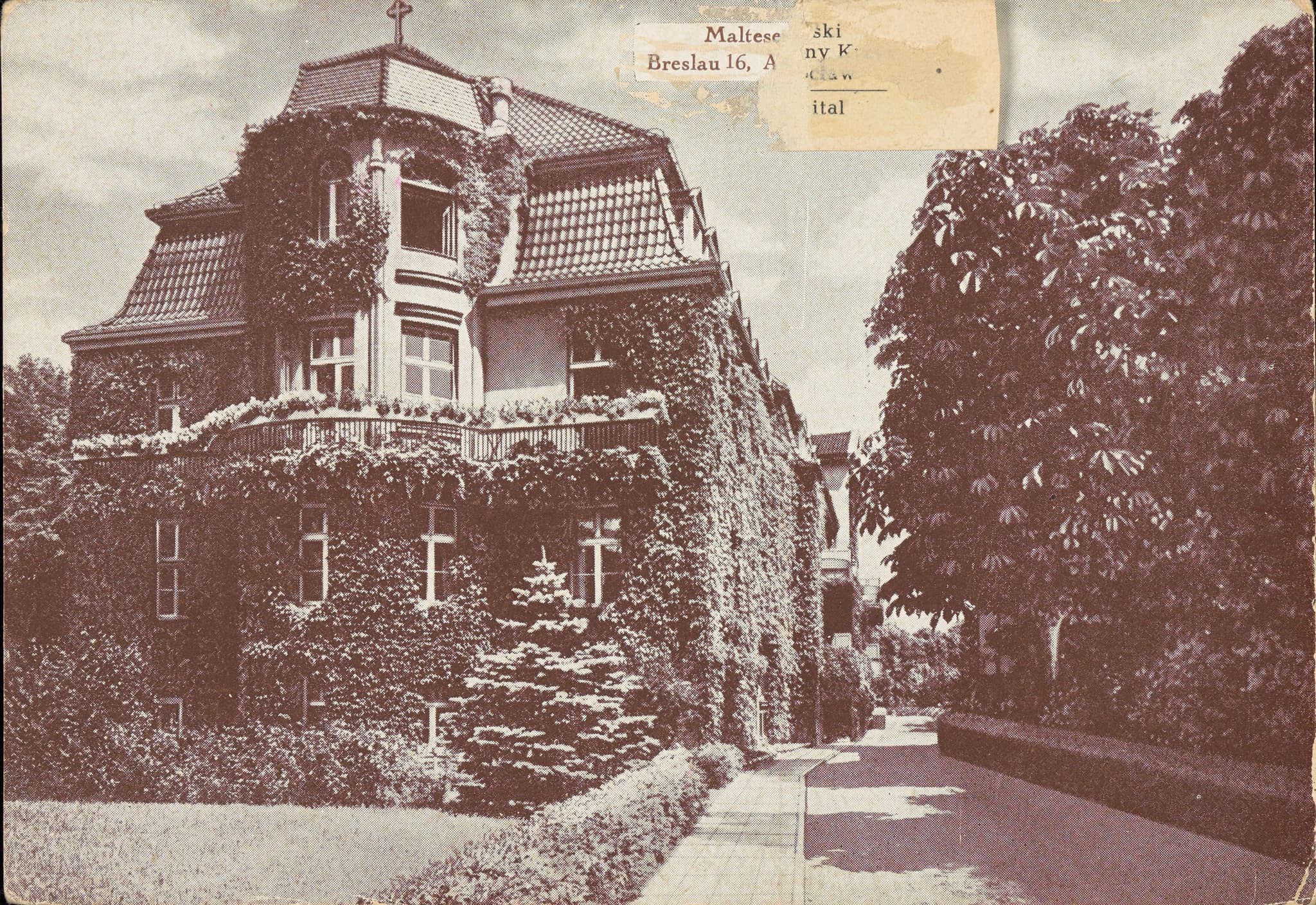 Wroclaw Medical University - Medical University Wroclaw Medical University - Medical University in Poland